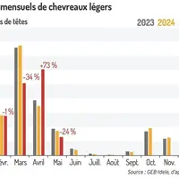 Abattages mensuels de chevreaux légers
