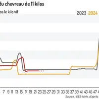 Graphique : Cotation du chevreau de 11 kg