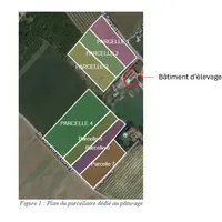 <em class="placeholder">Plan du parcellaire dédié au pâturage</em>