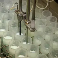 Analyse de lait