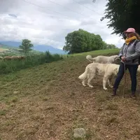 Béatrice Reynaud, éleveuse d’ovins dans les Hautes-Alpes et référente du réseau Chiens de protection de l’Institut de l’élevag