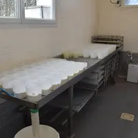 Les fromages moulés