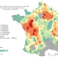Carte d'estimation de la date de récolte pour le maïs fourrage en 2025
