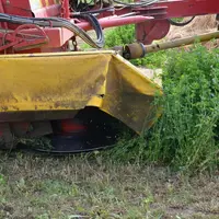 Affouragement en vert