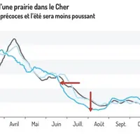 Évolution de la pousse d’une prairie dans le Cher (en kg de MS/ha/j)