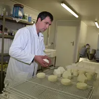 Fromager fermier dans sa fromagerie