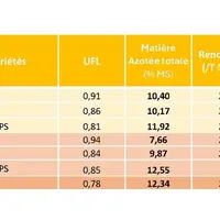 Rendements, valeurs alimentaires et hauteurs des sorghos au pâturage en 2024