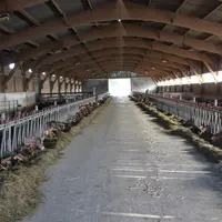 intérieur de la chèvrerie