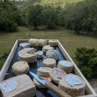 Fromages de chèvres et paysage du Lot