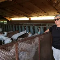 Sabine Palisse et ses chèvres