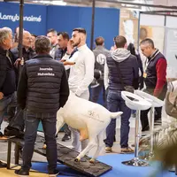 Exposant et clients lors du salon Capr'Inov 2023 à Niort