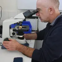 <em class="placeholder">Analyse coprologique par un vétérinaire</em>