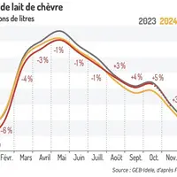 Collecte de lait de chèvre