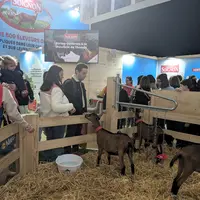 Chevrette et enrichissement au stand Soigon du salon de l'agriculture