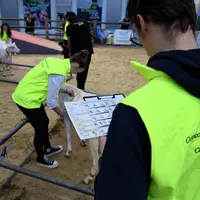 Concours de jugement des animaux 2026