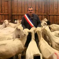 Denis Glaizol en écharpe et au milieu de ses chèvres