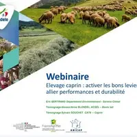 Webinaire Élevage caprin durable