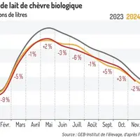 Collecte de lait de chèvre biologique