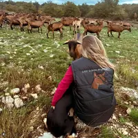 Eleveuse portant une veste sans manche brodée devant un troupeau de chèvres