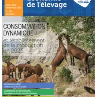 Dossier Annuel Caprins - Année 2025 - Perspectives 2026