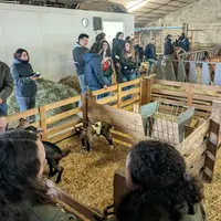 Visite d'une chèvrerie de Saône-et-Loire