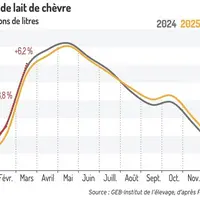 Collecte de lait de chèvre