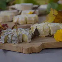 Mothais sur feuille