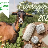 Affiche Fromagora