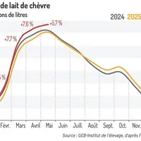 Collecte de lait de chèvre