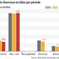 Abattages de chevreaux en têtes par période