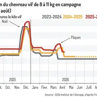 Cotation du chevreau vif de 8 à 11 kg
en campagne (sept. à août)