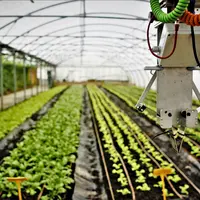 neofarm