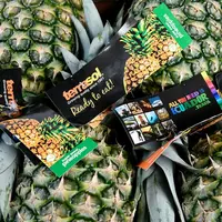 ananas Terrasol