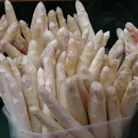 asperges