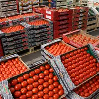 tomates rungis