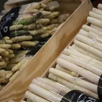asperge rungis