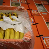 bananes rungis