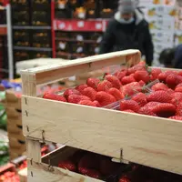 fraise rungis