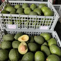 avocat ethiopie