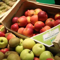 DEsmettre bio comptoir producteur