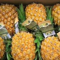 Ananas