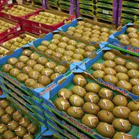 kiwi rungis