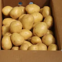 patates
