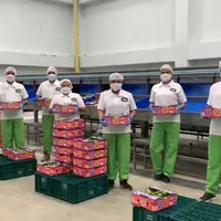 la dona fruit packouse