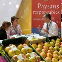 Medfel 2011_Archives FLD