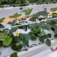 Le Caté teste aussi le projet