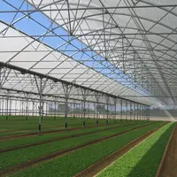Le maraîchage nantais est contesté localement sur de nombreux aspects. © V. Bargain