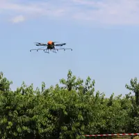 Les drones permettent de voler à basse altitude au-dessus des cultures et sont une alternative aux vols de pulvérisation par hélicoptère en Suisse.  ©