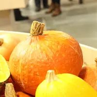 En France, les superficies consacrées aux courges ont augmenté de 39% durant les dix dernières années. © RFL