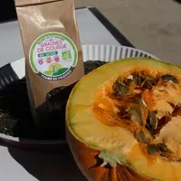 Les courges sont produites pour leur graines consommées directement, transformées en huile et utilisées dans l'agro-alimentaire.  © RFL